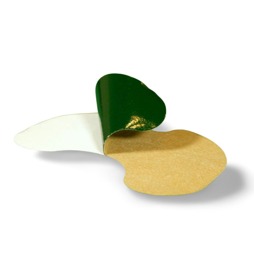 Wormwood Pain Relief Patch 12 Hour Relief for Knee & Joint Pain